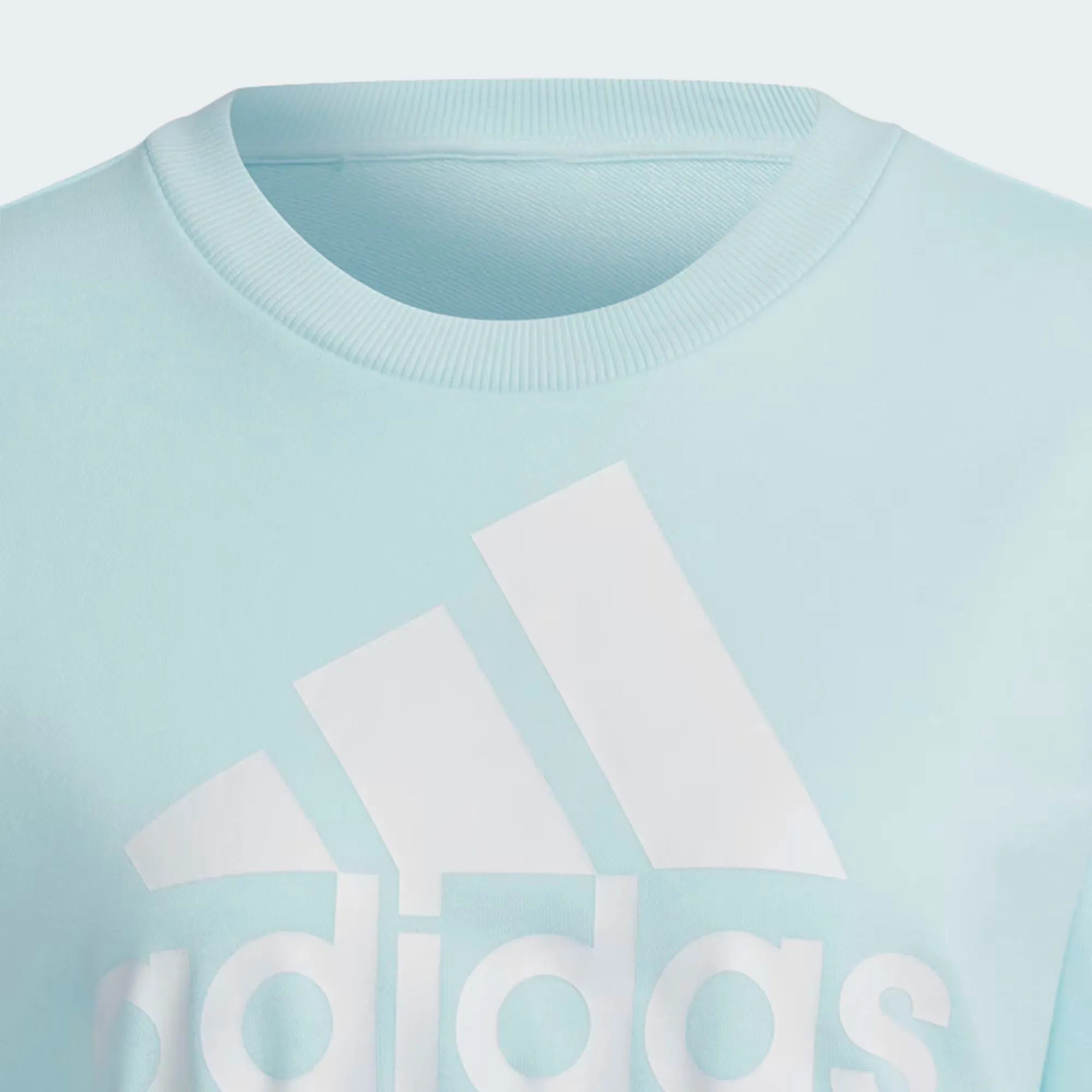 Adidas Essentials Logo Loose Sweatshirt - Women